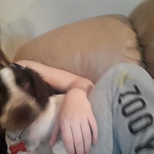 Meet your Posher, Kris